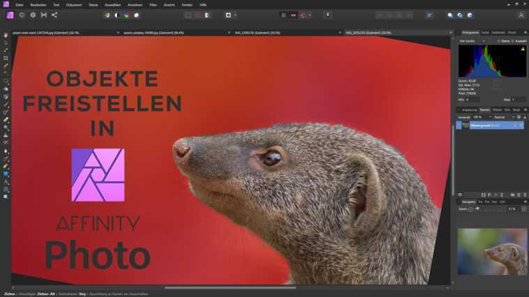 Affinity Photo : Comment recadrer des objets 1 Affinity Photo : Comment Recadrer Des Objets