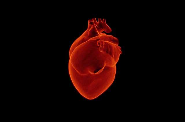 Un médicament expérimental innovant prévient le risque de crise cardiaque en éliminant les plaques des artères 1 Un Médicament Expérimental Innovant Prévient Le Risque De Crise Cardiaque