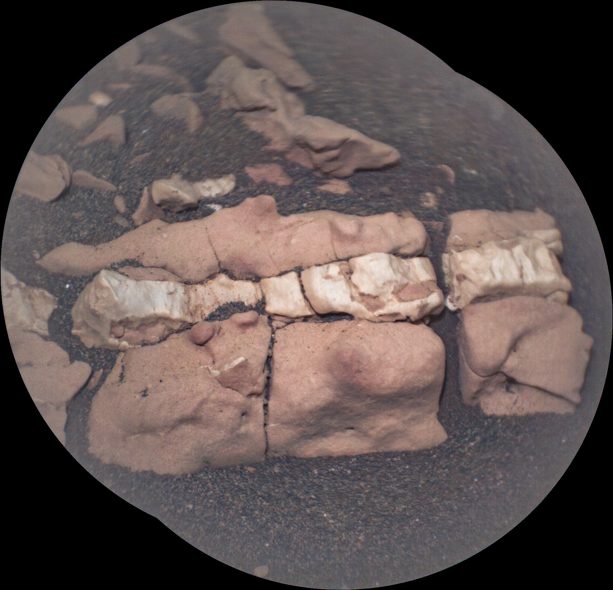 Une « colonne vertébrale fossile » sur Mars : le cliché extraordinaire du rover Persévérance 2 Crédit : NASA / JPL – Caltech / LANL / CNES / IRAP / Kevin M. Gill