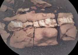 Une « Colonne Vertébrale Fossile » Sur Mars : Le