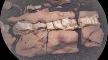 Une « colonne vertébrale fossile » sur Mars : le cliché extraordinaire du rover Persévérance 16 Une « Colonne Vertébrale Fossile » Sur Mars : Le