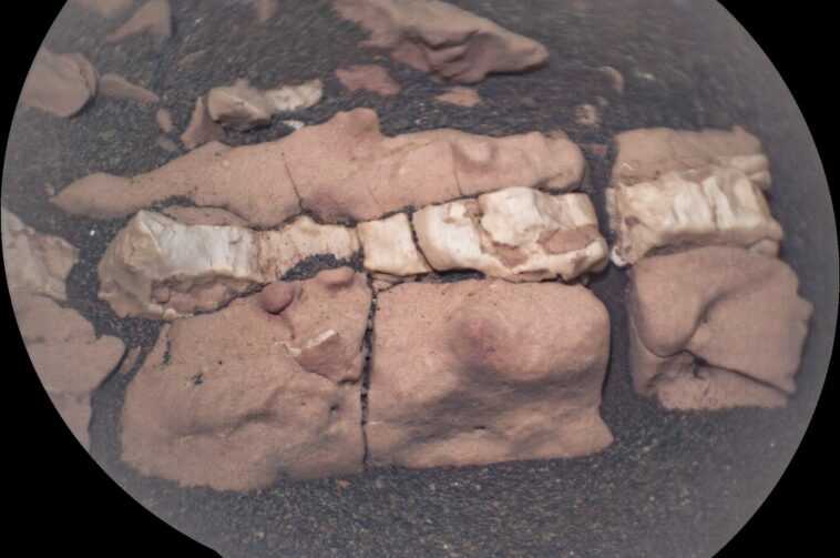 Une « colonne vertébrale fossile » sur Mars : le cliché extraordinaire du rover Persévérance 1 Une « Colonne Vertébrale Fossile » Sur Mars : Le
