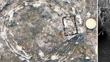 Un œuf de dinosaure à l'intérieur d'un autre œuf découvert pour la première fois : parce que c'est un fossile précieux 5 Un œuf De Dinosaure à L'intérieur D'un Autre œuf Découvert