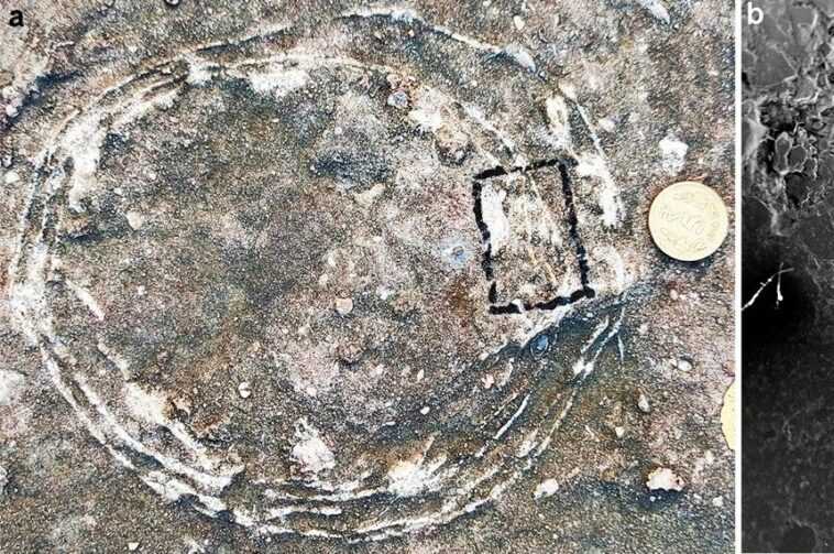 Un œuf de dinosaure à l'intérieur d'un autre œuf découvert pour la première fois : parce que c'est un fossile précieux 1 Un œuf De Dinosaure à L'intérieur D'un Autre œuf Découvert