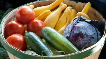 Des chercheurs développent un emballage alimentaire à base de plantes pour remplacer les plastiques nocifs 16 Des Chercheurs Développent Un Emballage Alimentaire à Base De Plantes