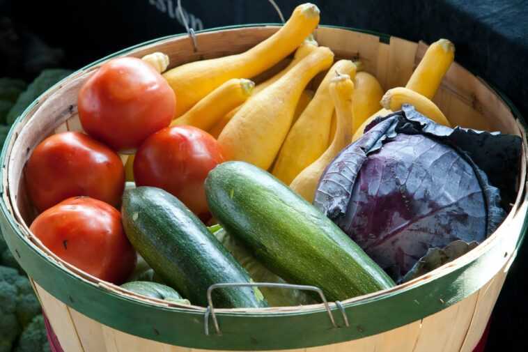 Des chercheurs développent un emballage alimentaire à base de plantes pour remplacer les plastiques nocifs 1 Des Chercheurs Développent Un Emballage Alimentaire à Base De Plantes