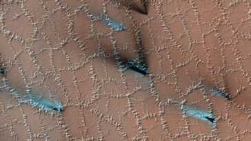 Quelles sont ces étonnantes structures en nid d'abeille aperçues sur Mars 2 Quelles Sont Ces étonnantes Structures En Nid D'abeille Aperçues Sur