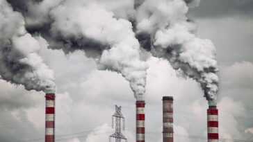 Les fines particules de smog peuvent pénétrer dans le cerveau directement à partir des poumons 26 Les Fines Particules De Smog Peuvent Pénétrer Dans Le Cerveau