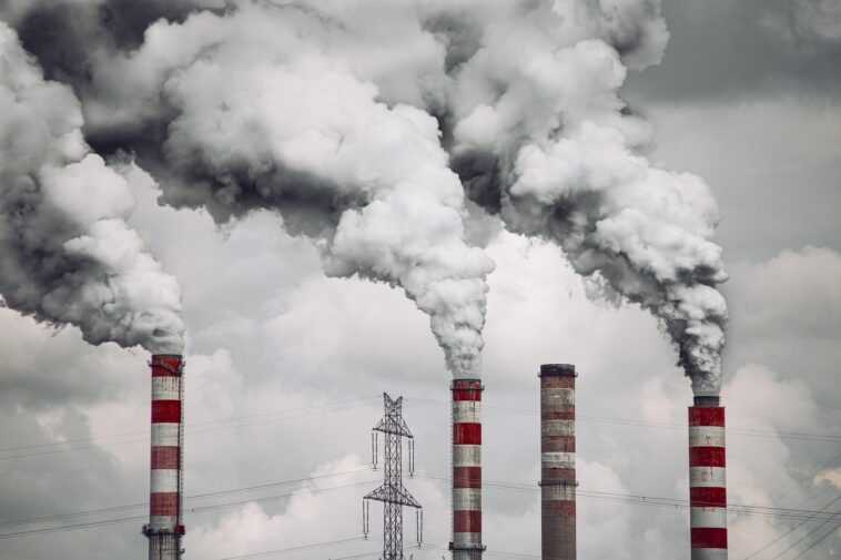 Les fines particules de smog peuvent pénétrer dans le cerveau directement à partir des poumons 1 Les Fines Particules De Smog Peuvent Pénétrer Dans Le Cerveau