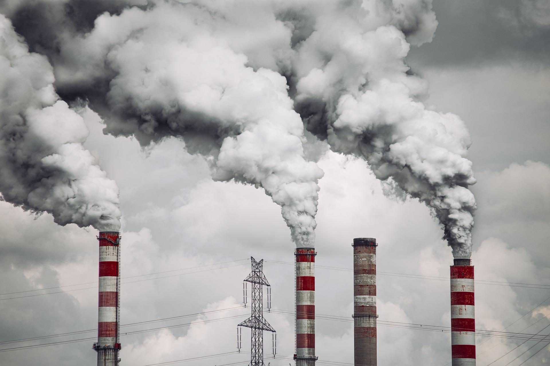 Les Fines Particules De Smog Peuvent Pénétrer Dans Le Cerveau