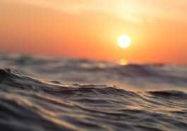 La Mer Méditerranée Est En ébullition Depuis Plus D'un Mois,