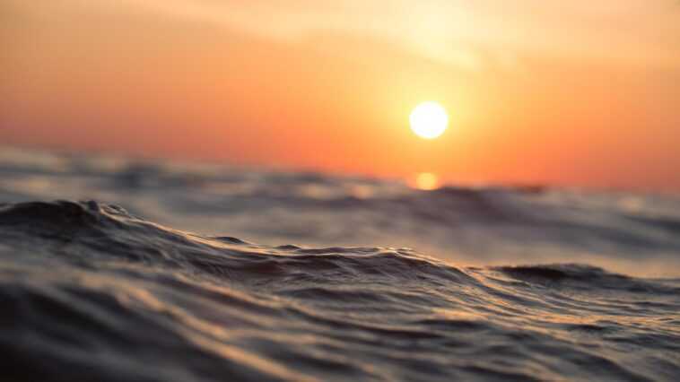 La mer Méditerranée est en ébullition depuis plus d'un mois, + 4°C par rapport à la moyenne : quels sont les risques 1 La Mer Méditerranée Est En ébullition Depuis Plus D'un Mois,