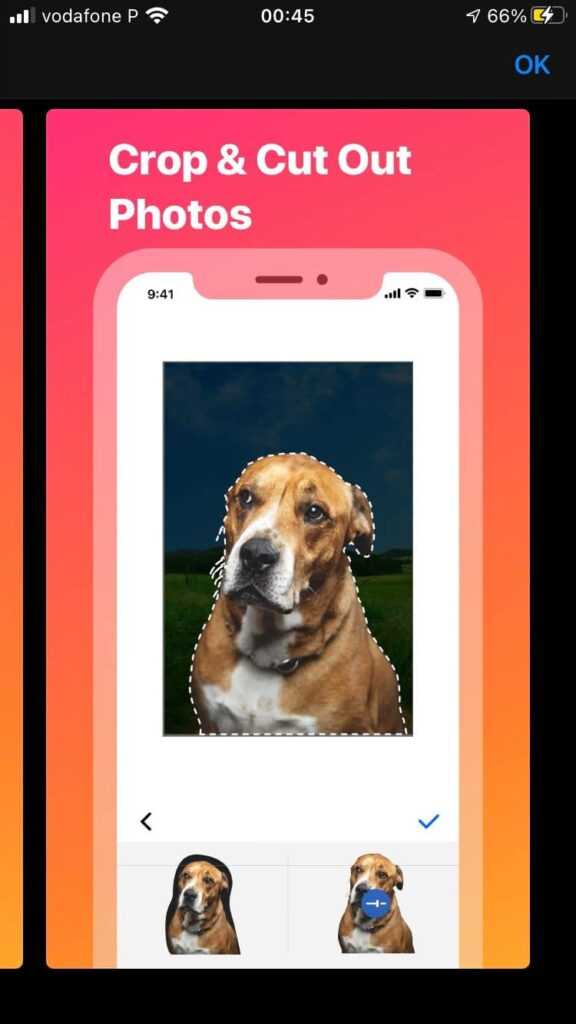 5 applications pour fusionner des photos sur iPhone et iPad 11 App Collage Maker 3