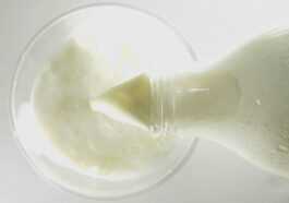 Après La Viande De Synthèse Vient Le "lait Sans Vaches"