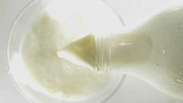 Après la viande de synthèse vient le "lait sans vaches" : il sera produit au Danemark 22 Après La Viande De Synthèse Vient Le "lait Sans Vaches"