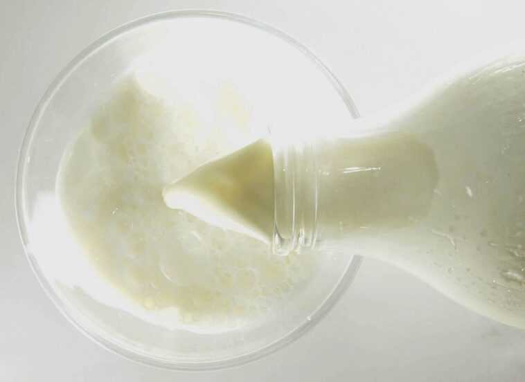 Après la viande de synthèse vient le "lait sans vaches" : il sera produit au Danemark 1 Après La Viande De Synthèse Vient Le "lait Sans Vaches"