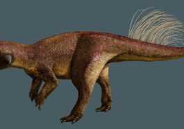 Certains Dinosaures Avaient Un Nombril, Révèle Un Fossile Vieux De