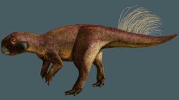 Certains dinosaures avaient un nombril, révèle un fossile vieux de 125 millions d'années 19 Certains Dinosaures Avaient Un Nombril, Révèle Un Fossile Vieux De