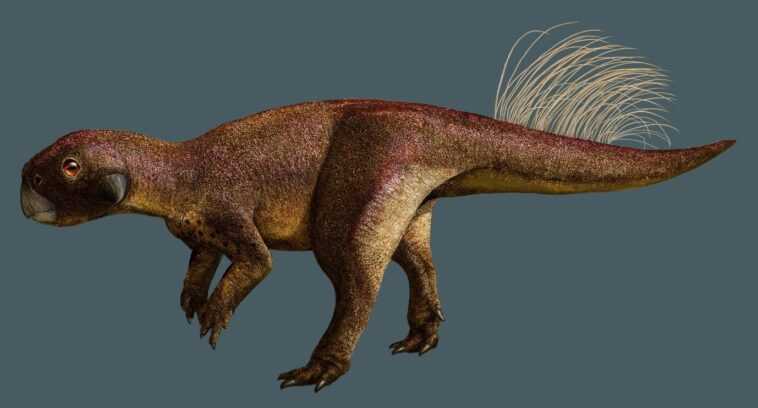 Certains dinosaures avaient un nombril, révèle un fossile vieux de 125 millions d'années 1 Certains Dinosaures Avaient Un Nombril, Révèle Un Fossile Vieux De