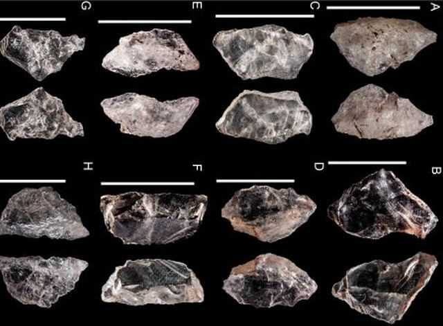 Le premier couteau suisse a été créé il y a 65 000 ans : il est le symbole d'une histoire merveilleuse 1 Le Premier Couteau Suisse A été Créé Il Y A