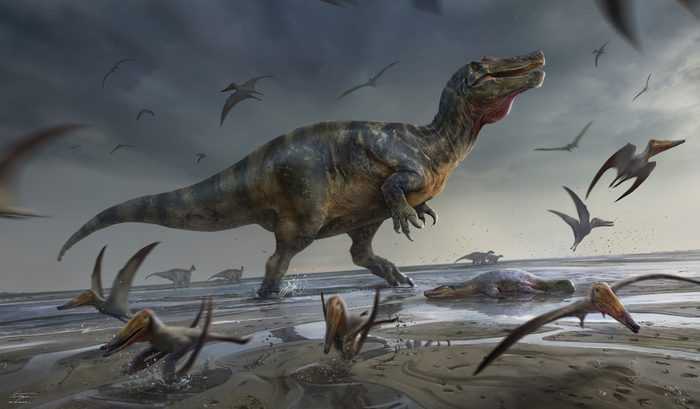 Les restes du plus grand prédateur vivant d'Europe, un majestueux dinosaure spinosauridé, ont été découverts 1 Les Restes Du Plus Grand Prédateur Vivant D'europe, Un Majestueux