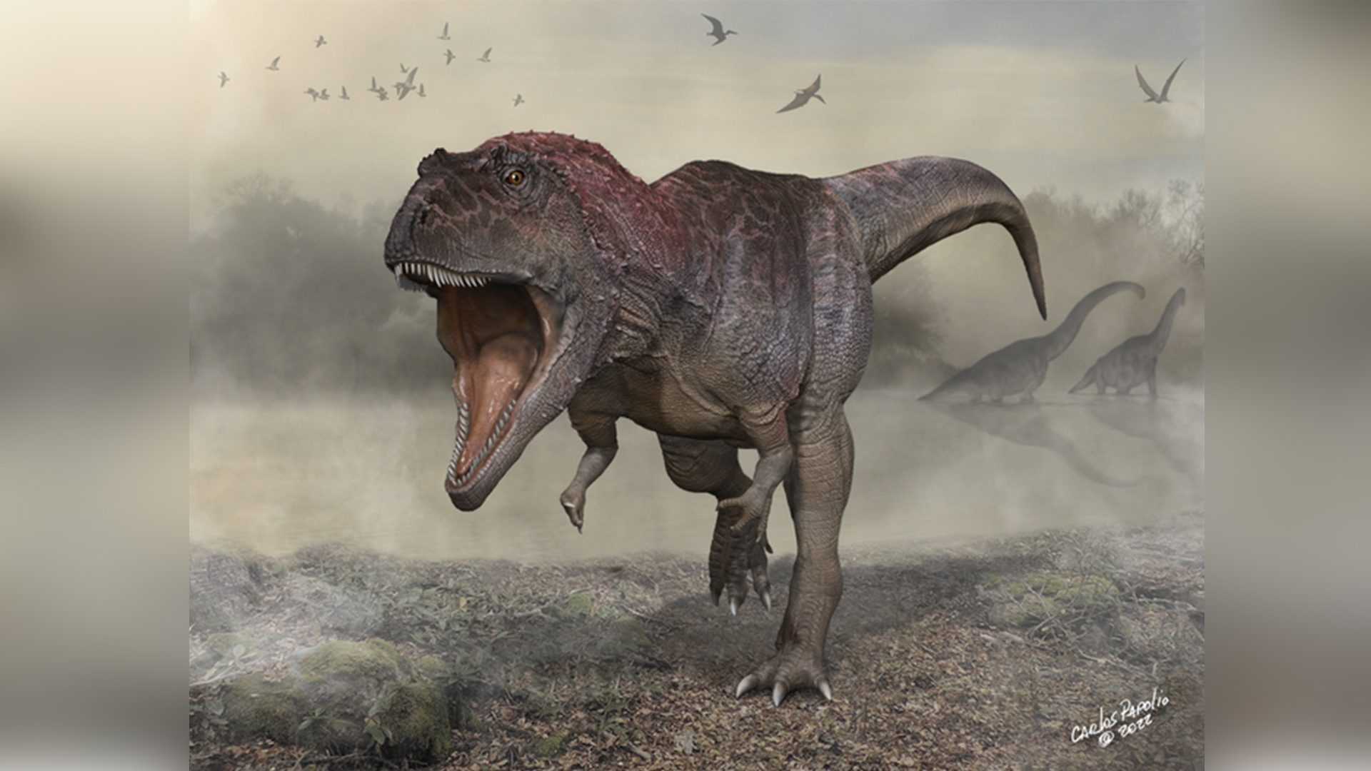 A Découvert Un Nouveau Dinosaure Aux "bras Courts": Peut être Les
