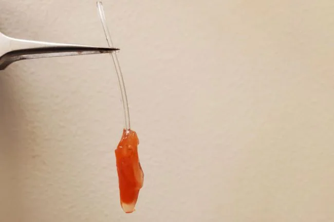 1657785007 660 Ventricule du coeur humain cultive en laboratoire il bat et