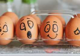 Oeufs Au Réfrigérateur : Comment Bien Les Conserver
