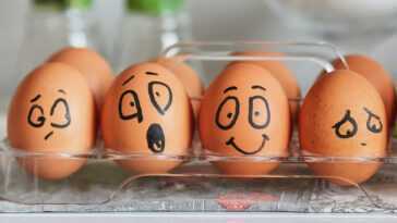 Oeufs Au Réfrigérateur : Comment Bien Les Conserver