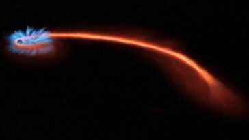 Une étoile s'approche trop près d'un trou noir et est détruite, mais sa fin étonne les experts 20 Une étoile S'approche Trop Près D'un Trou Noir Et Est