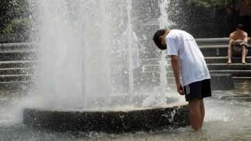 Les décès dus à la chaleur ont augmenté de 68 % en seulement 20 ans : l'alarme du Lancet 5 L'été 2022 Restera T Il Le Plus "cool" De Ceux Qui Nous