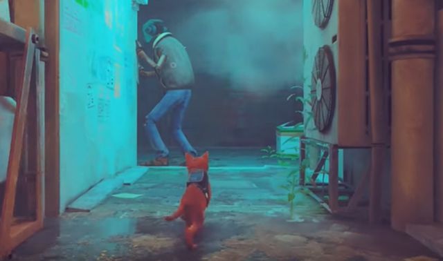 Guide Trophées de platine Stray I'm Fast Speedrun 2 hours Tricks Annapurna PS5 PS4 PC Steam Cat Cyberpunk