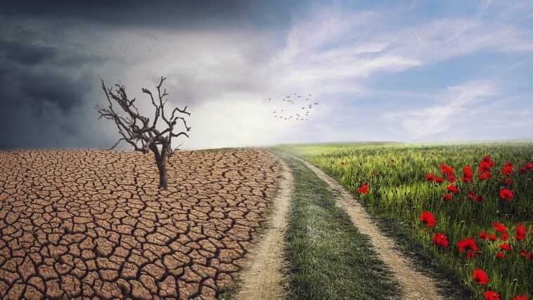 « C'est juste l'été, c'est normal d'avoir chaud » : la vidéo démantèle la théorie ridicule des négateurs du climat 1 « C'est Juste L'été, C'est Normal D'avoir Chaud » :