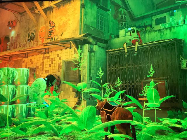 Comment obtenir le poncho, le câble et le détergent dans Stray et où les utiliser ? 4 poncho égaré