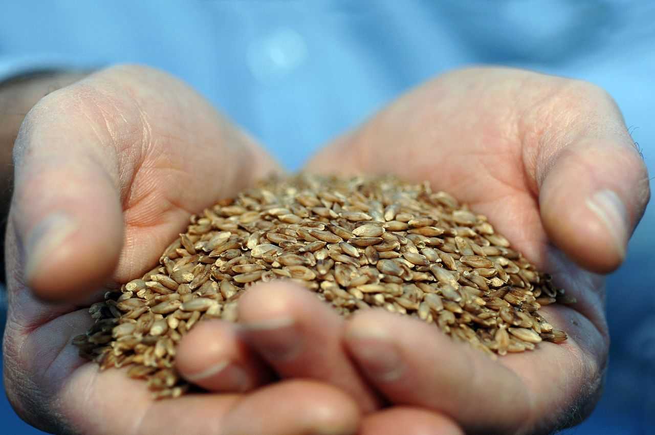 Un complément alimentaire réduit le risque de cancer héréditaire de 60 % : l'étude 87 Un Complément Alimentaire Réduit Le Risque De Cancer Héréditaire De