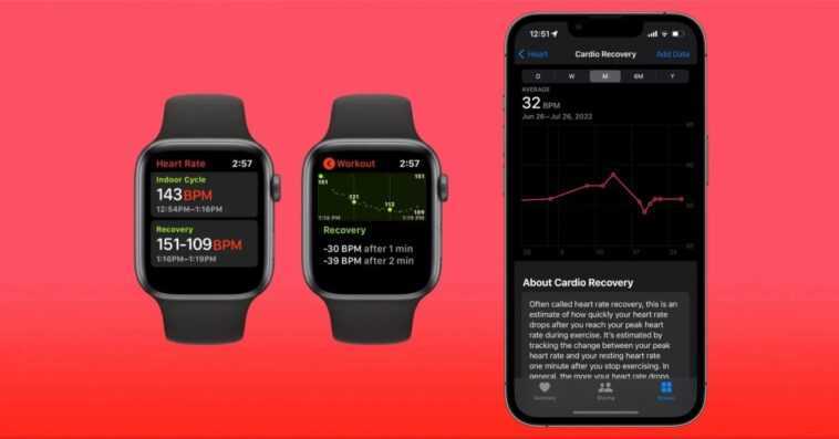 Cardio Recovery : Qu'est-ce que la fonctionnalité Apple Watch dans watchOS 9 et iOS 16 et comment la suivre ? 1 Cardio Recovery : Qu'est-ce que la fonctionnalité Apple Watch dans watchOS 9 et iOS 16 et comment la suivre ?