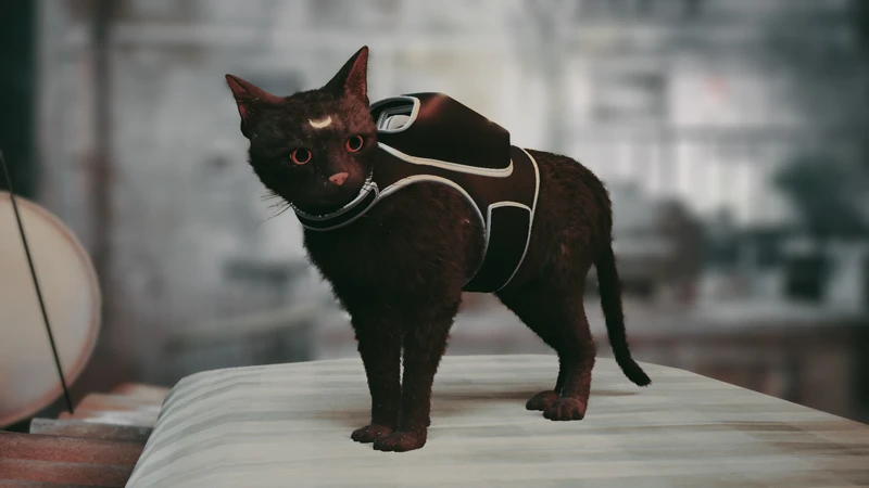 Meilleurs mods Stray à installer et à apprécier (Puppy, Garfield, CJ et plus) 12 Mods errants