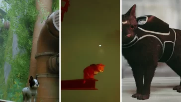 Meilleurs mods Stray à installer et à apprécier (Puppy, Garfield, CJ et plus) 21 Best Stray Mods to Install and Enjoy (Puppy, Garfield, CJ and More)