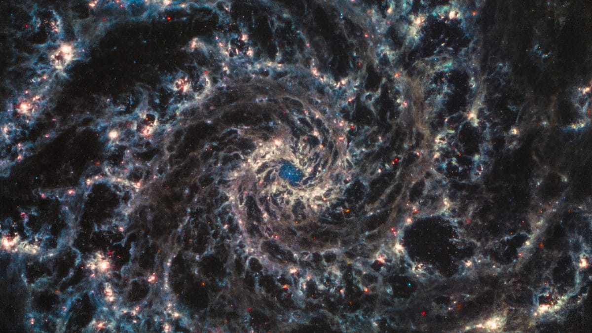 Le mystérieux centre vide de la Galaxie Fantôme et un labyrinthe de gaz dans un sublime cliché du Webb 2 Crédit : NASA / ESA / CSA / STSCI / JUDY SCHMIDT