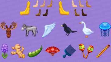 L'emoji de l'oie – et quelques autres – pourraient arriver plus tard cette année sur votre iPhone 19 L'emoji de l'oie – et quelques autres – pourraient arriver plus tard cette année sur votre iPhone