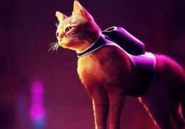 Miaou ! : 5 Jeux Pensés Pour Les Amoureux Des…