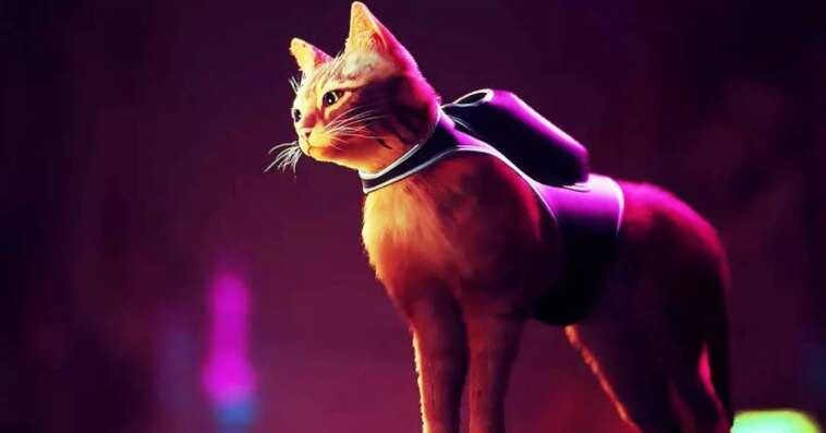 Miaou ! : 5 jeux pensés pour les amoureux des… chats ! 1 Miaou ! : 5 Jeux Pensés Pour Les Amoureux Des…