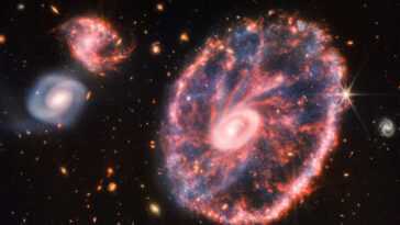 Le télescope spatial James Webb se concentre sur la galaxie Cartwheel 9 Le Télescope Spatial James Webb Se Concentre Sur La Galaxie
