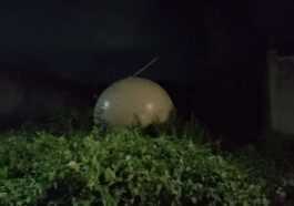Une Mystérieuse Sphère Métallique Est Tombée Du Ciel Au Mexique: