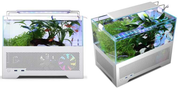 Ce boîtier PC avec aquarium intégré est une mauvaise idée 1 Ce Boîtier Pc Avec Aquarium Intégré Est Une Mauvaise Idée
