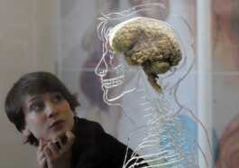 Notre Cerveau N'est Pas Fait Pour Rester éveillé Après Minuit