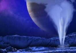 La Neige Sous Marine De La Terre Révèle De Nouveaux Indices