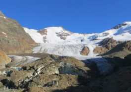 Le Grand Glacier Forni Souffre, A Perdu 400 Mètres En