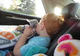 Pourquoi Les Enfants Détestent Les Longs Trajets En Voiture, Selon