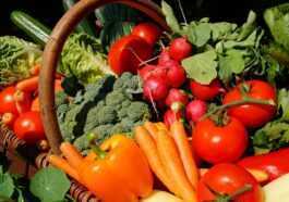 Certains Légumes Poussent Mieux En Ville Que Dans Les Champs